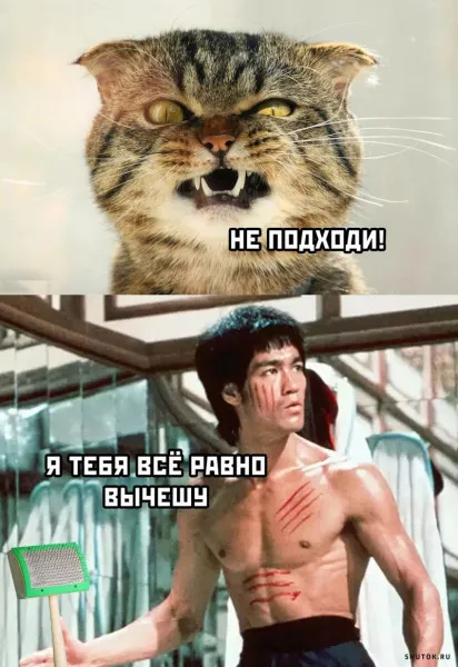 Эта битва будет легендарной #1