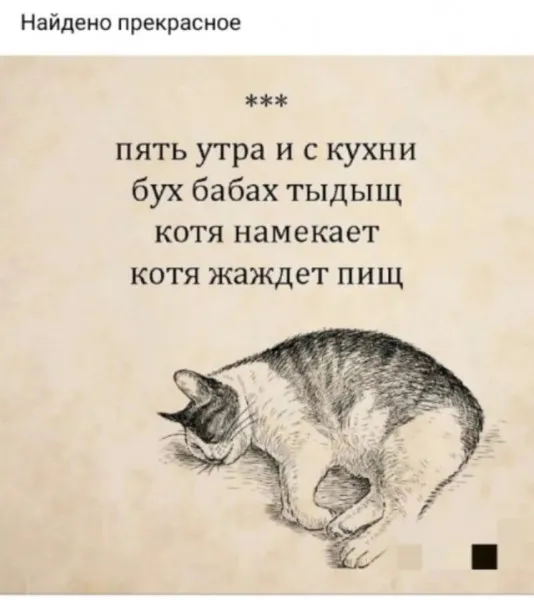 Котя жаждет пищ #1