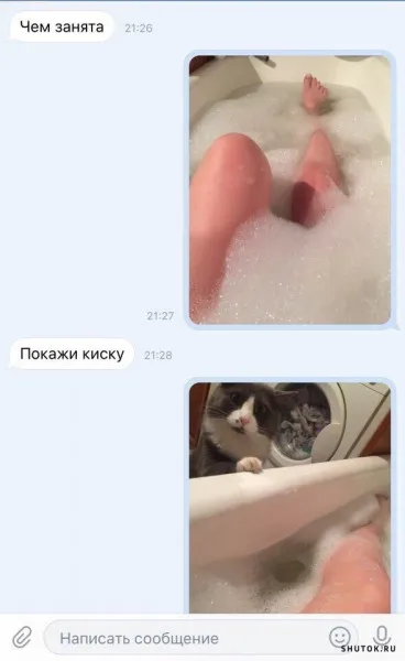 Киска в ванной #1