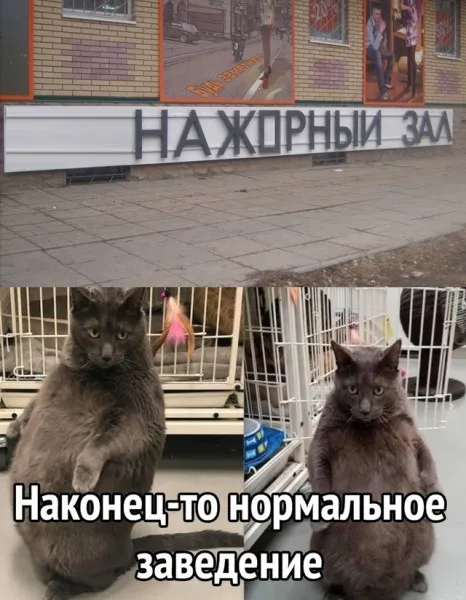 Правильное заведение #1