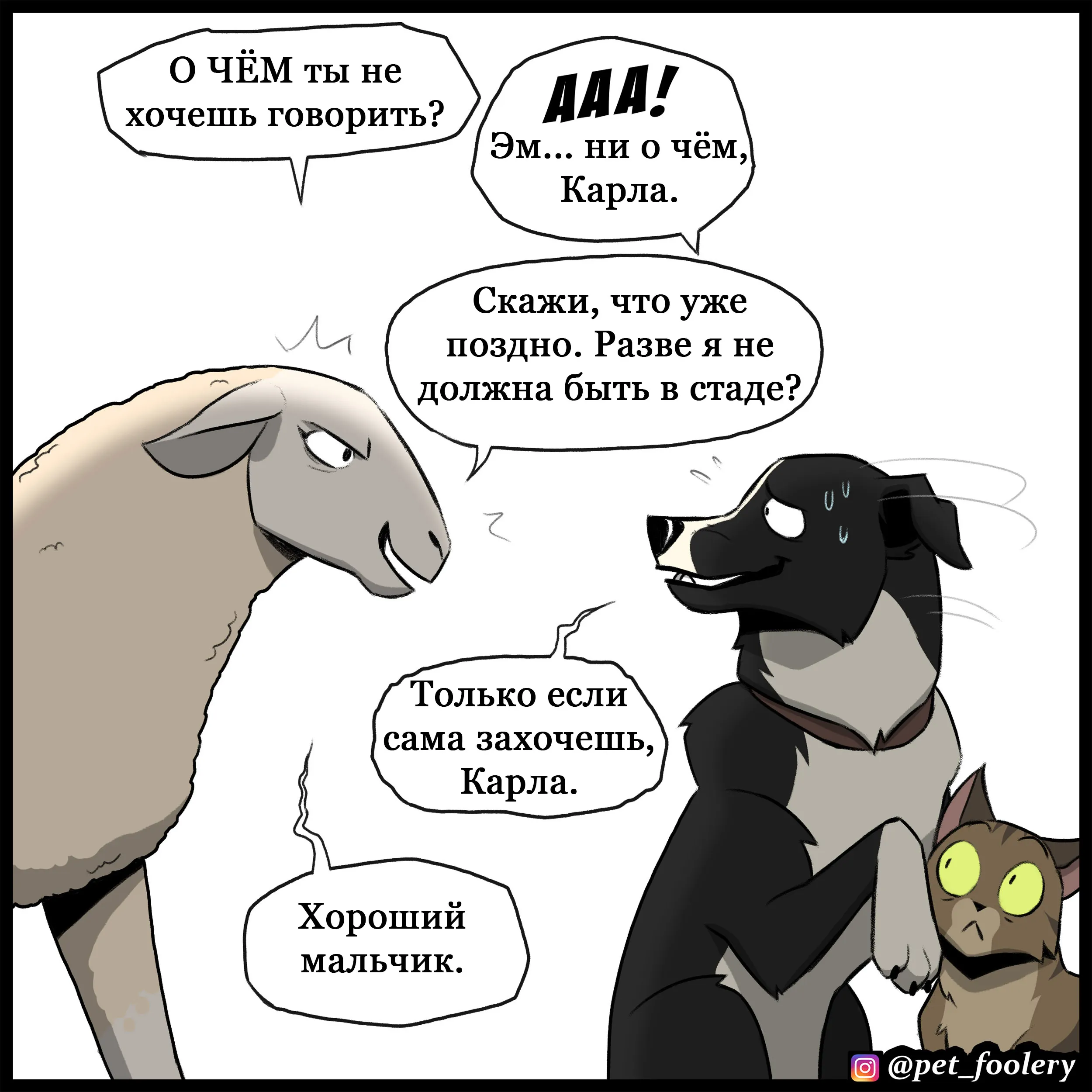 Sheepdog (2022.07.06) #10