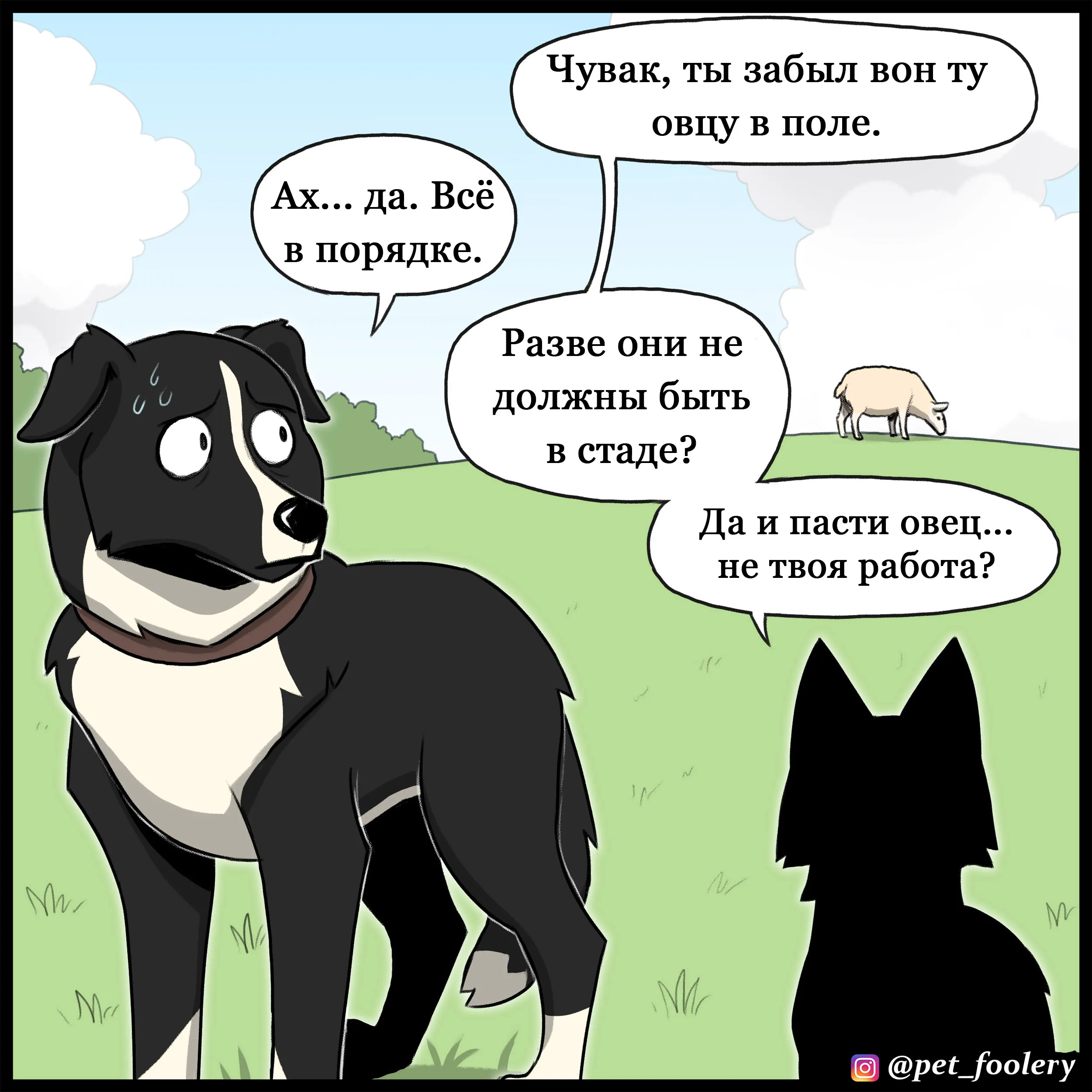 Sheepdog (2022.07.06) #1