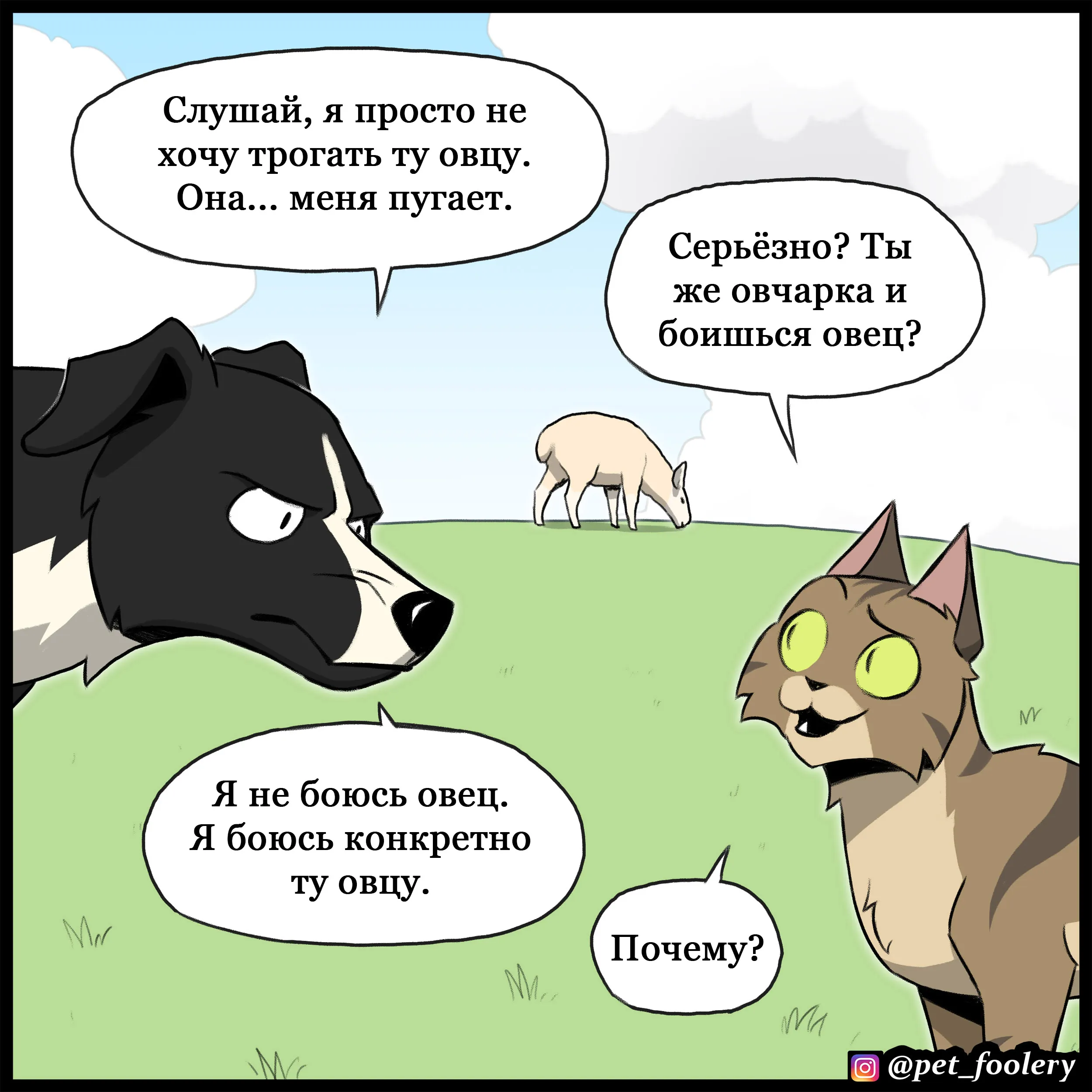 Sheepdog (2022.07.06) #2
