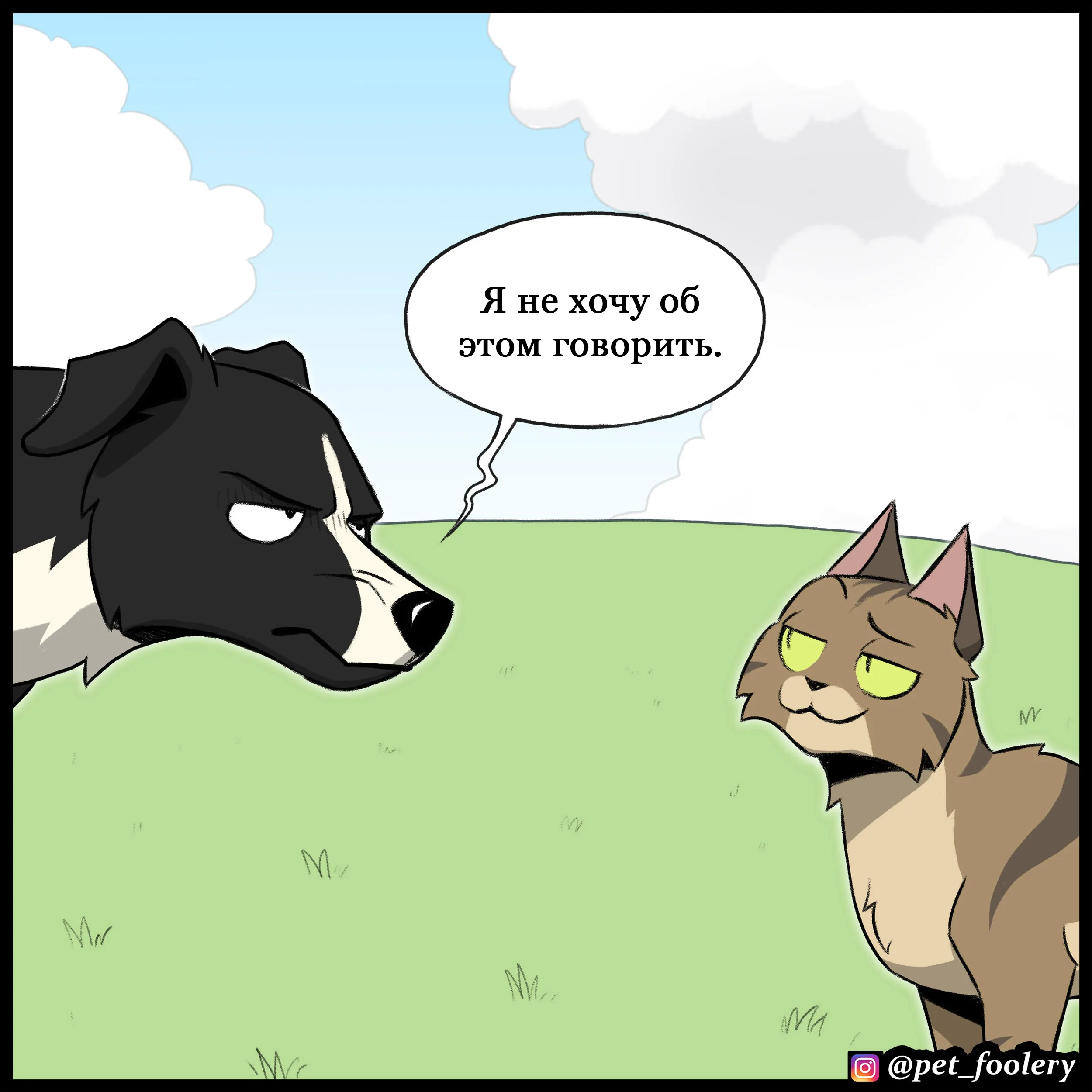 Sheepdog (2022.07.06) #9
