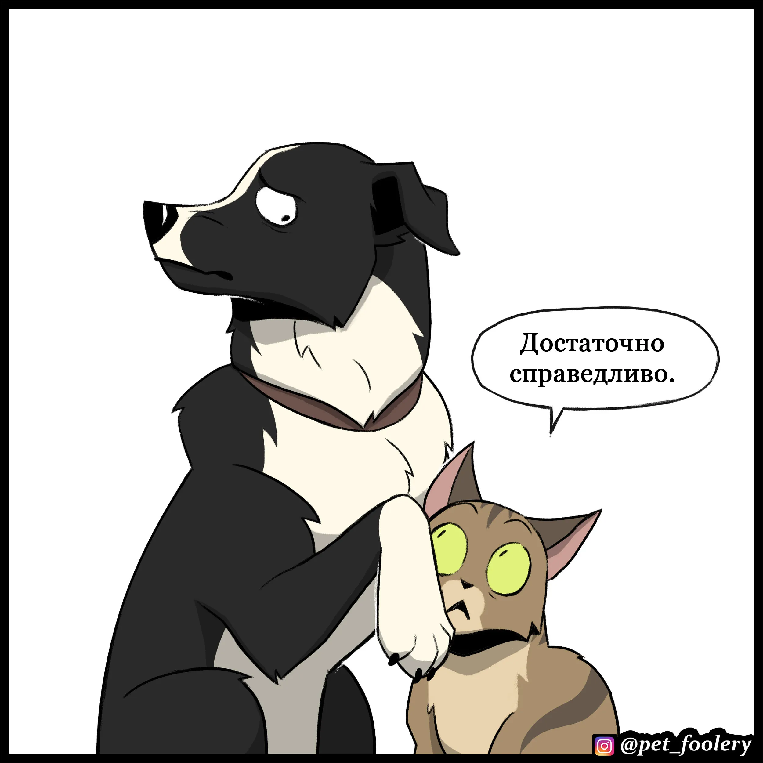 Sheepdog (2022.07.06) #12