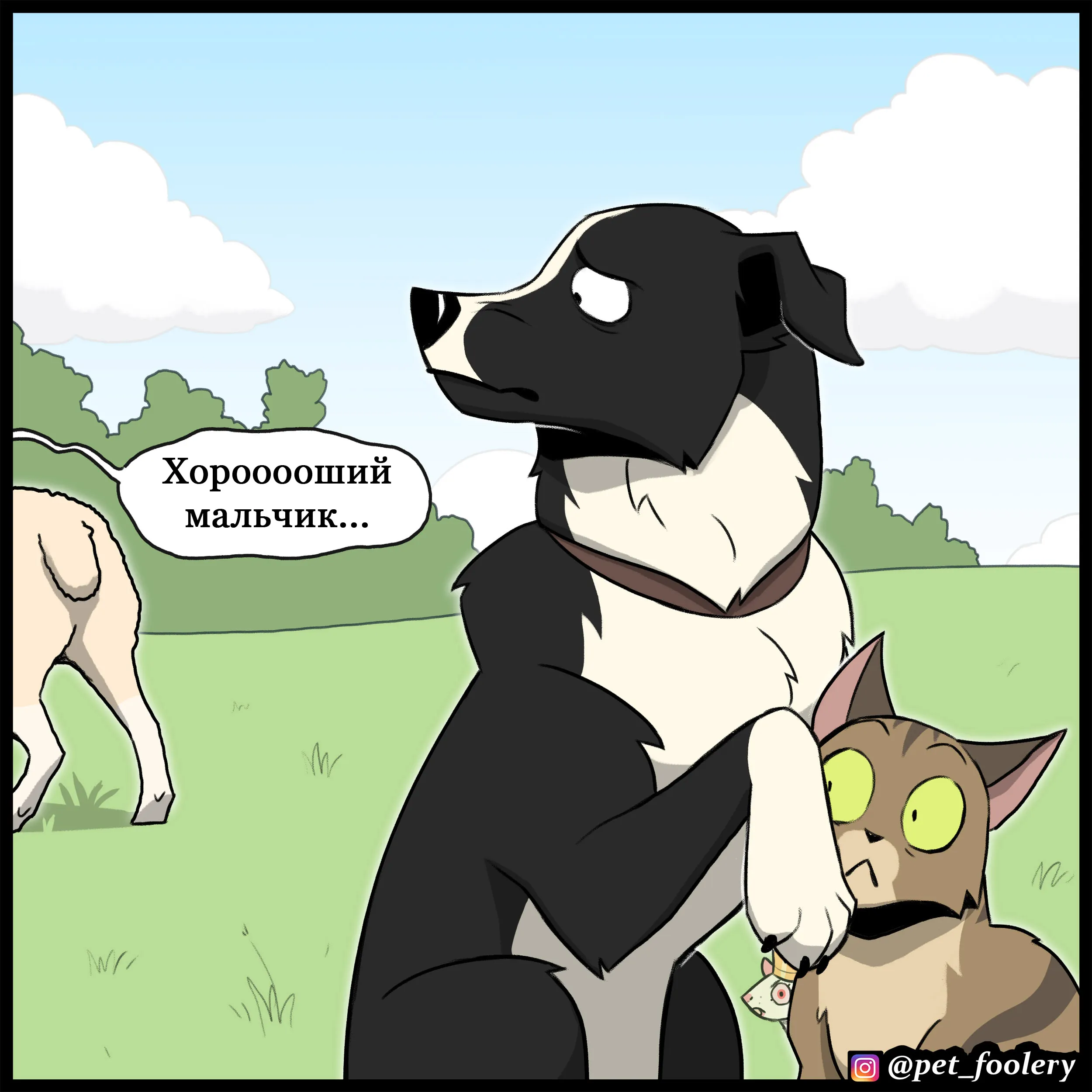 Sheepdog (2022.07.06) #11