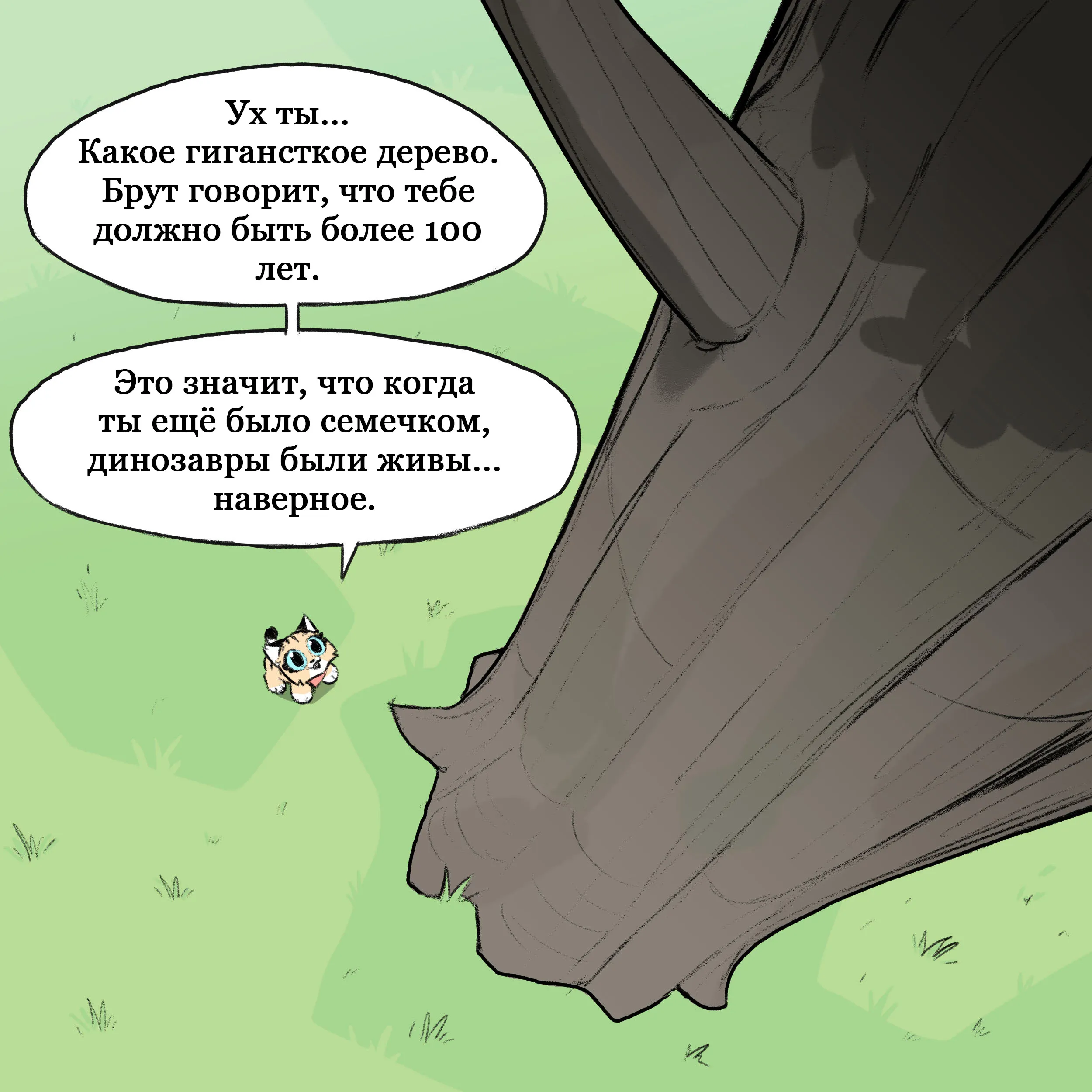 Pixie & Brutus - Old tree (2022.07.14) #1