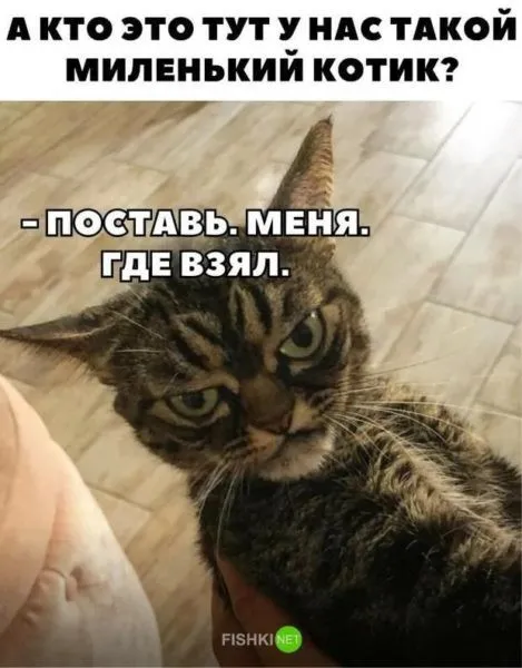 Пятница, вечер... #1