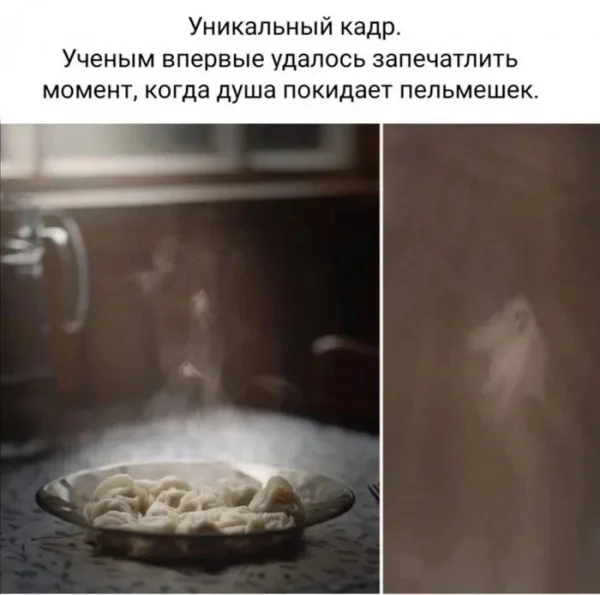 пельмени, casper, юмор