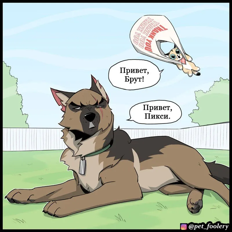 Pixie & Brutus - Windy (выпуск 127) #4