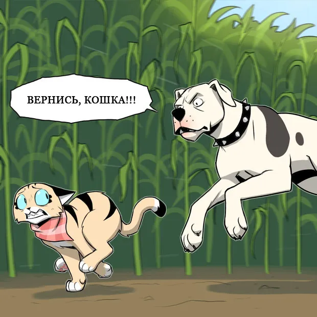 Pixie & Brutus - Lost (part 3) #6