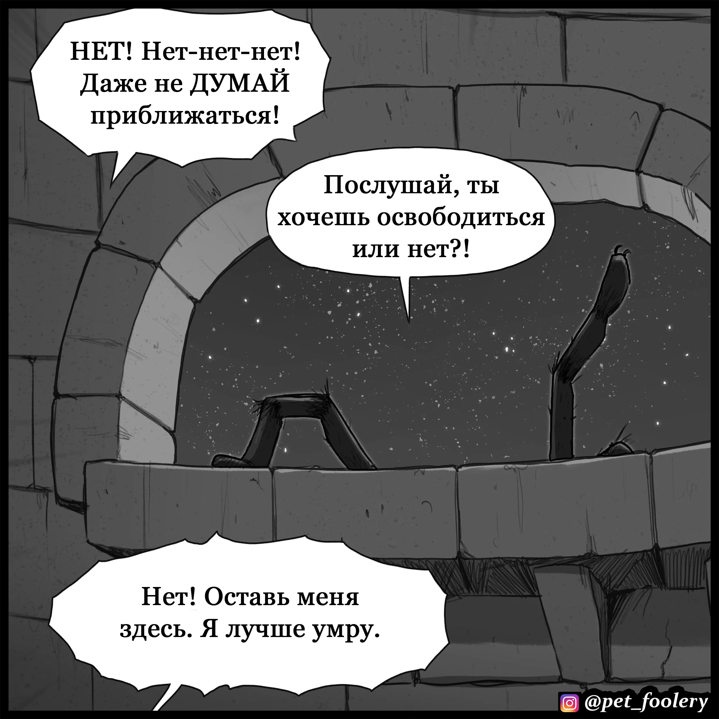 Rescue (2024.11.25) #7