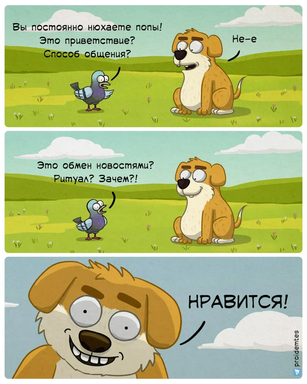 Вопрос, который меня волнует в 6 утра #1
