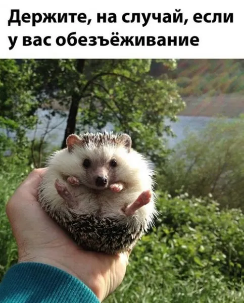 На случай обезъёживания #1