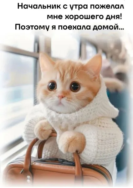 Бодрого холодного зимнего дня #1