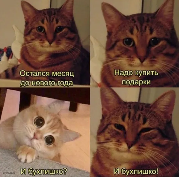 Готовимся к НГ правильно #1