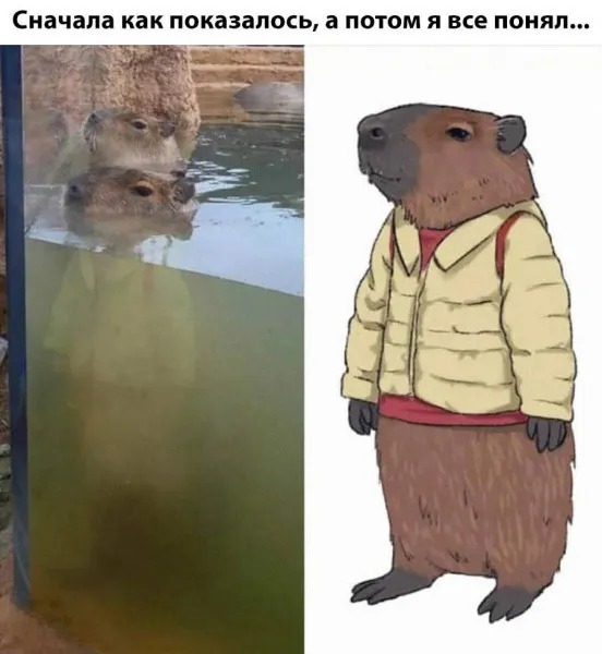 Bobr kurwa #1