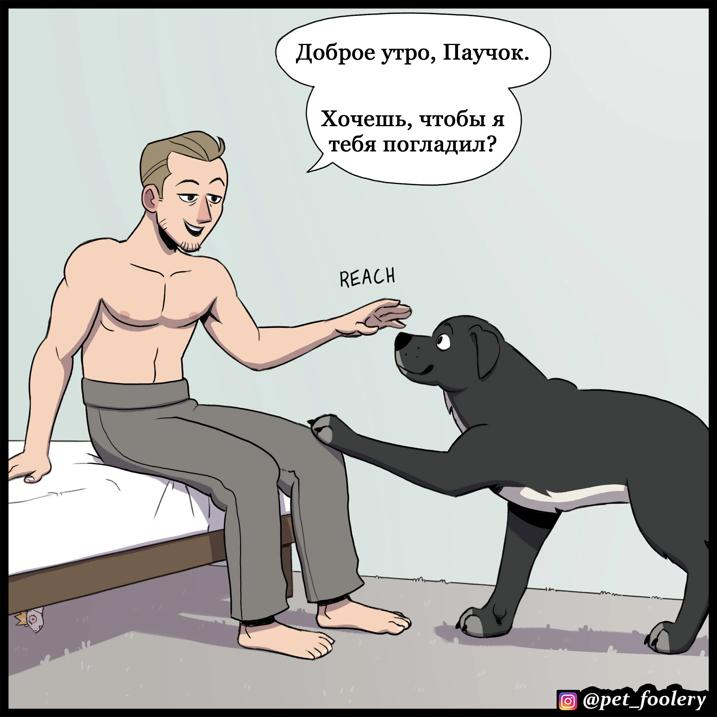 Pet (2022.11.22) #2