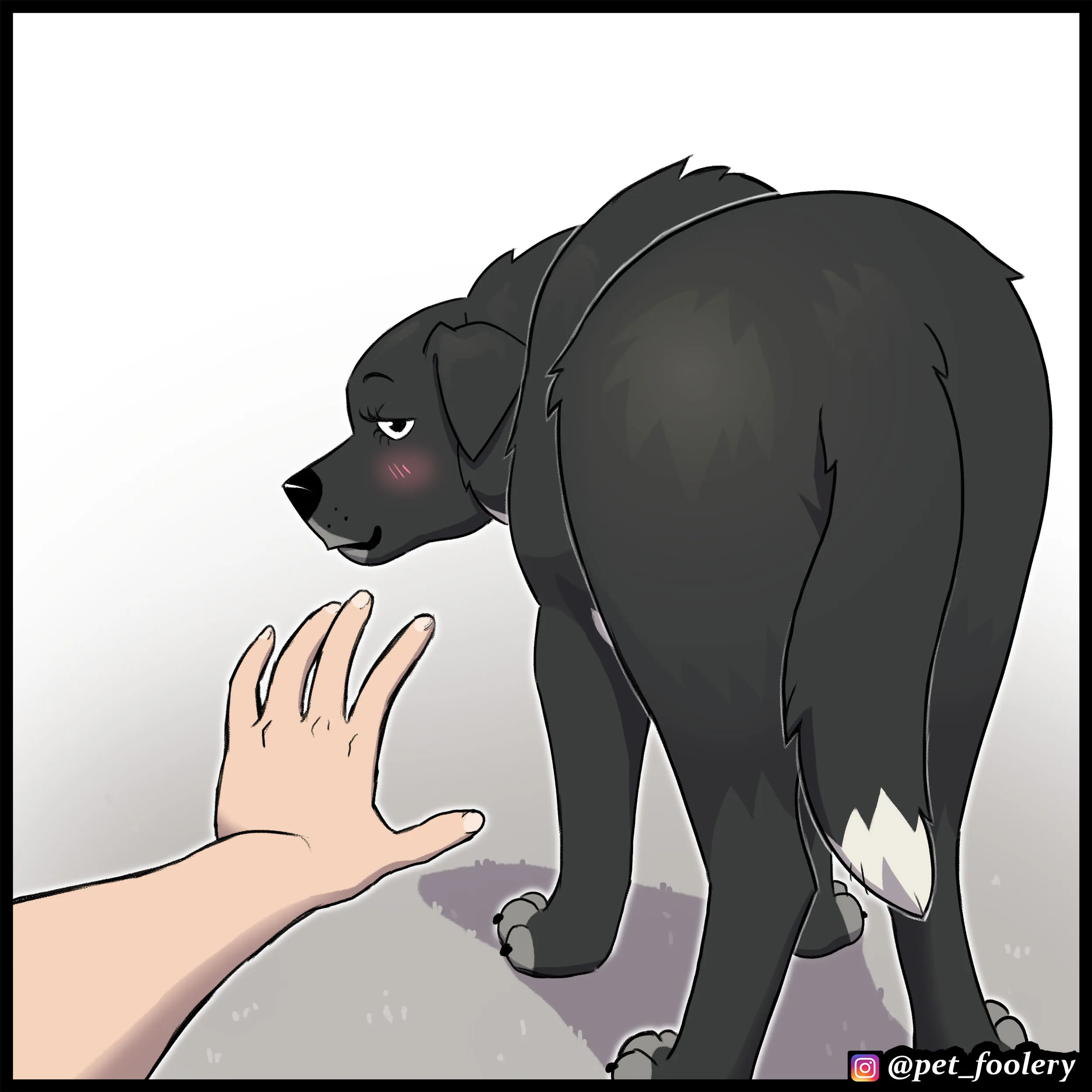 Pet (2022.11.22) #4