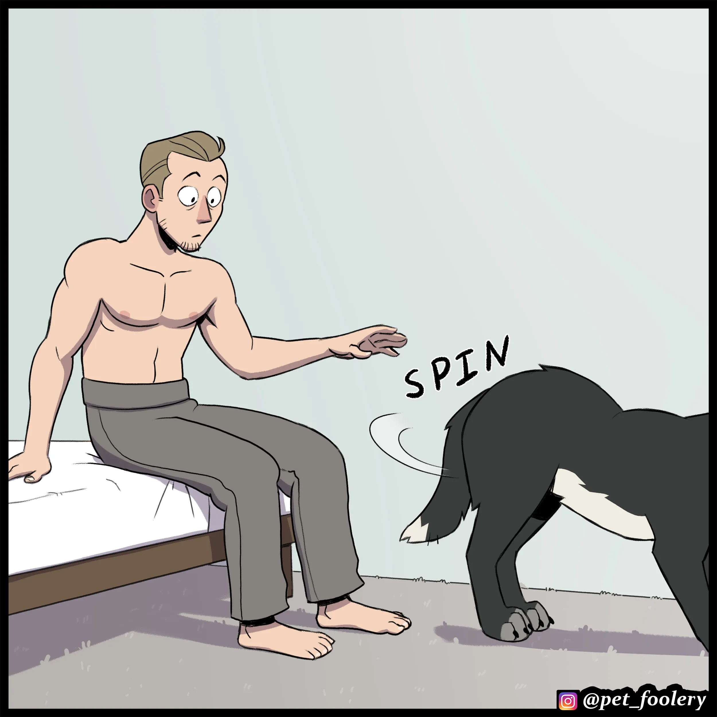 Pet (2022.11.22) #3