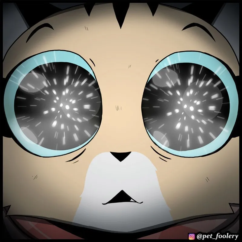 Pixie & Brutus - Cool (2022.12.06) #4