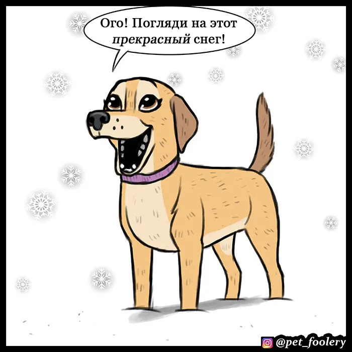 Pixie & Brutus - Emergency #2