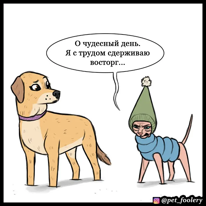 Pixie & Brutus - Emergency #3