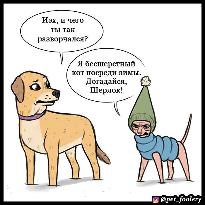 Pixie & Brutus - Emergency #4