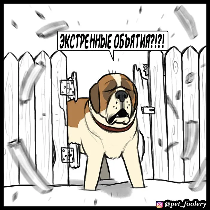 Pixie & Brutus - Emergency #7