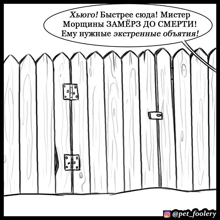 Pixie & Brutus - Emergency #6