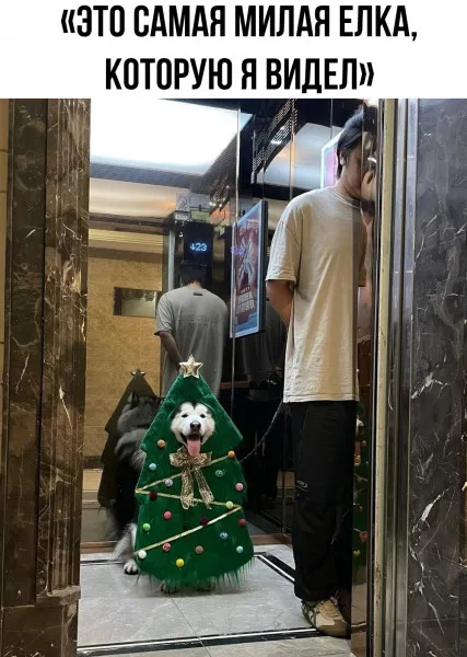Идея к Новому Году #2