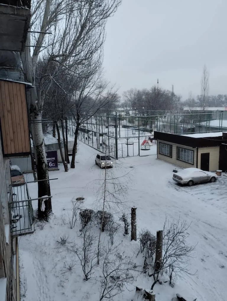 Утреннего Петербурга вам в ленту #2