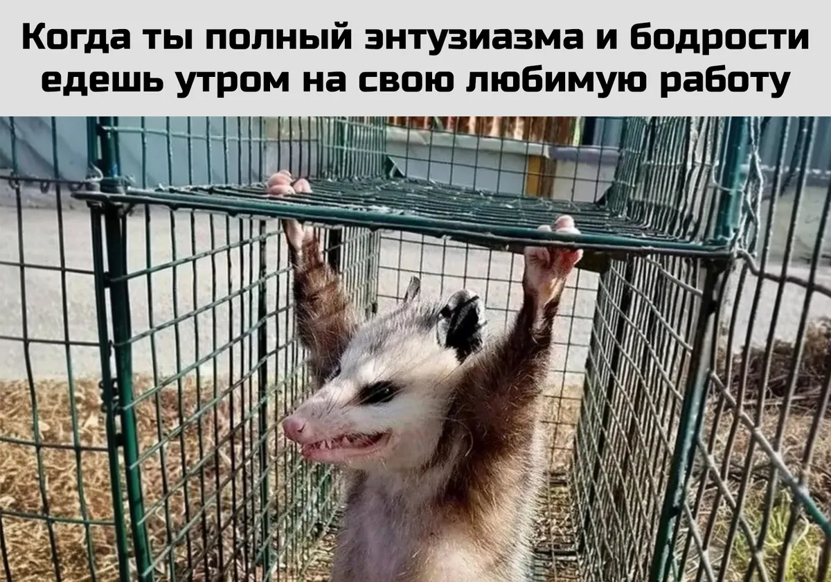 Любимая раб.бота #1