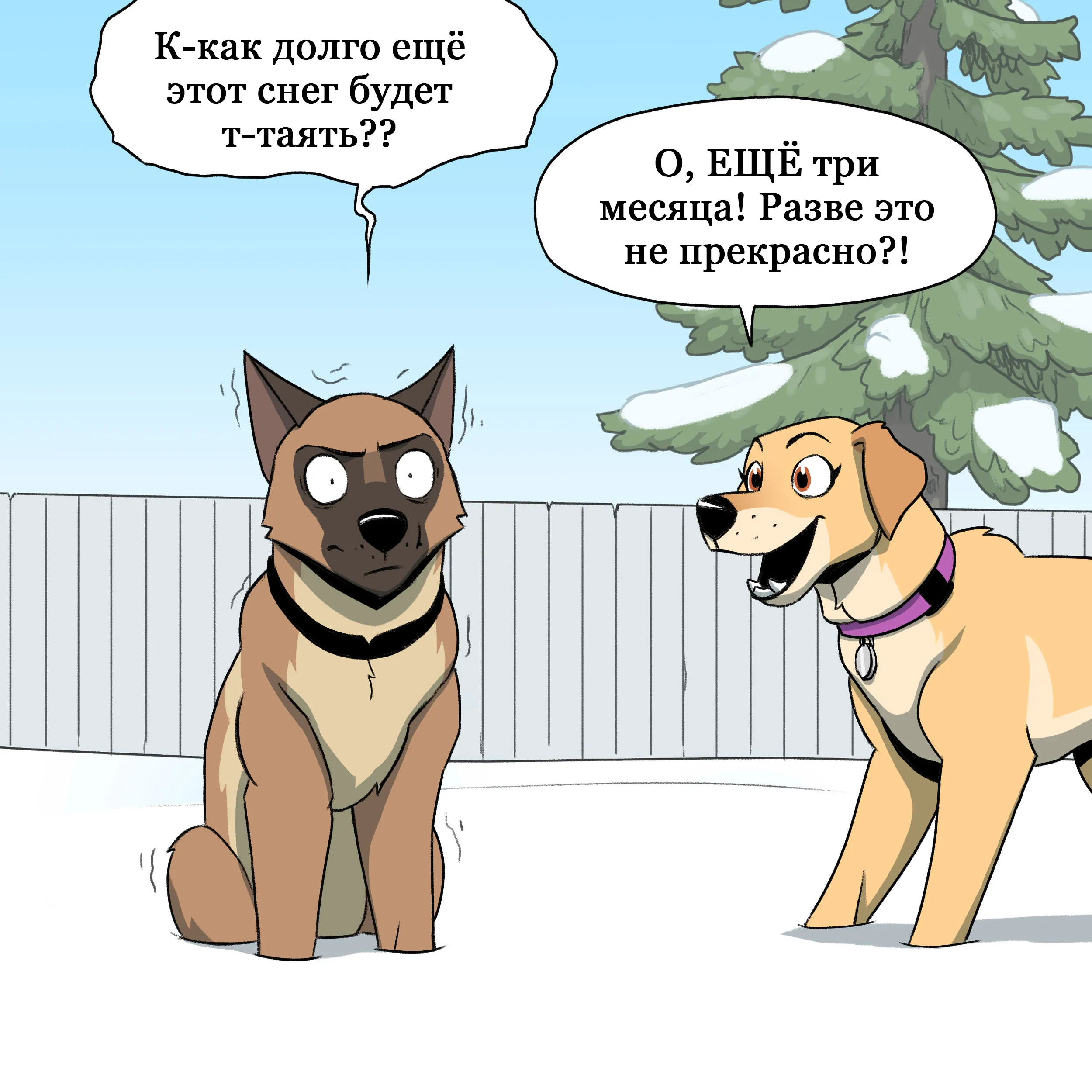 Pixie & Brutus - Emergency (2022.12.07) #1