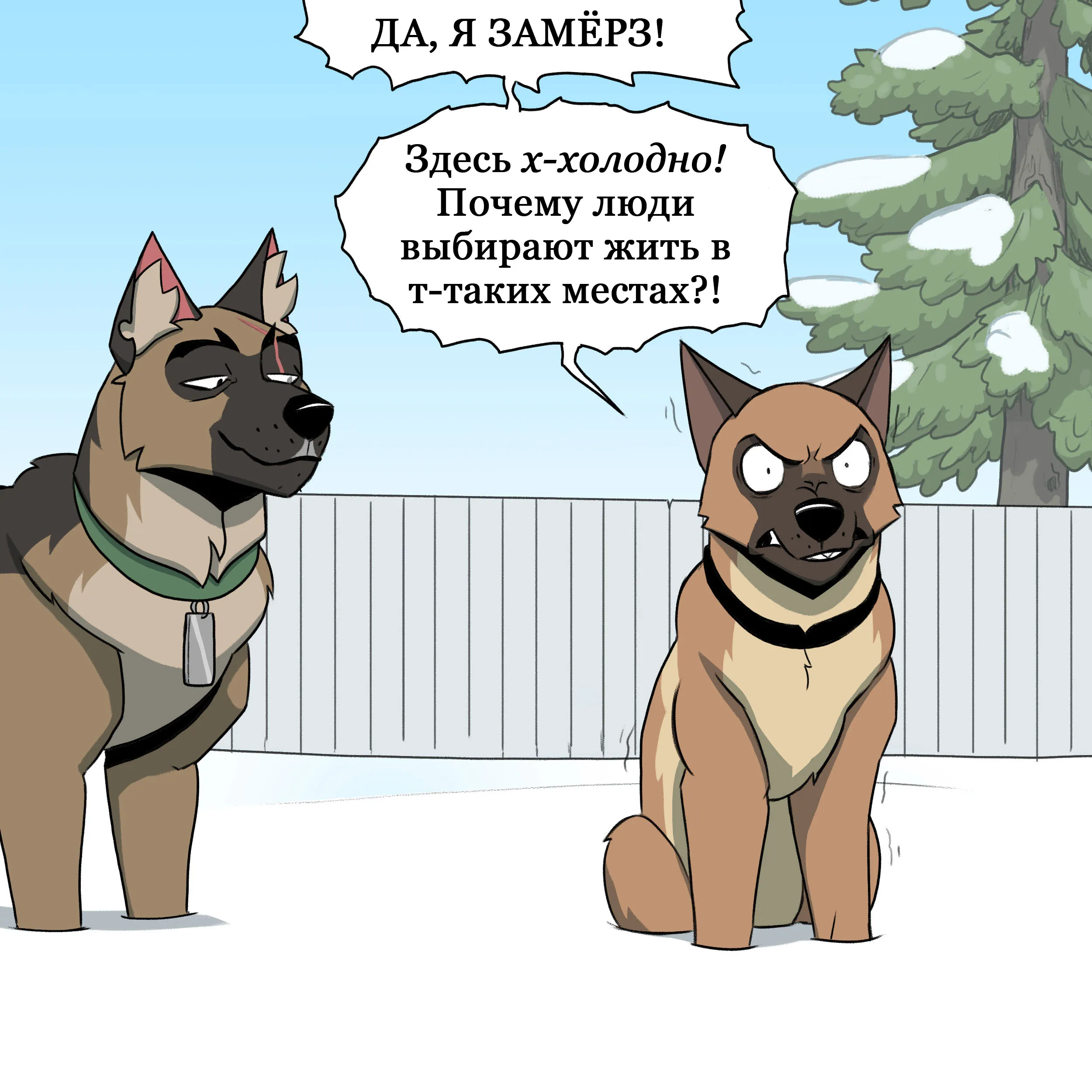 Pixie & Brutus - Emergency (2022.12.07) #3