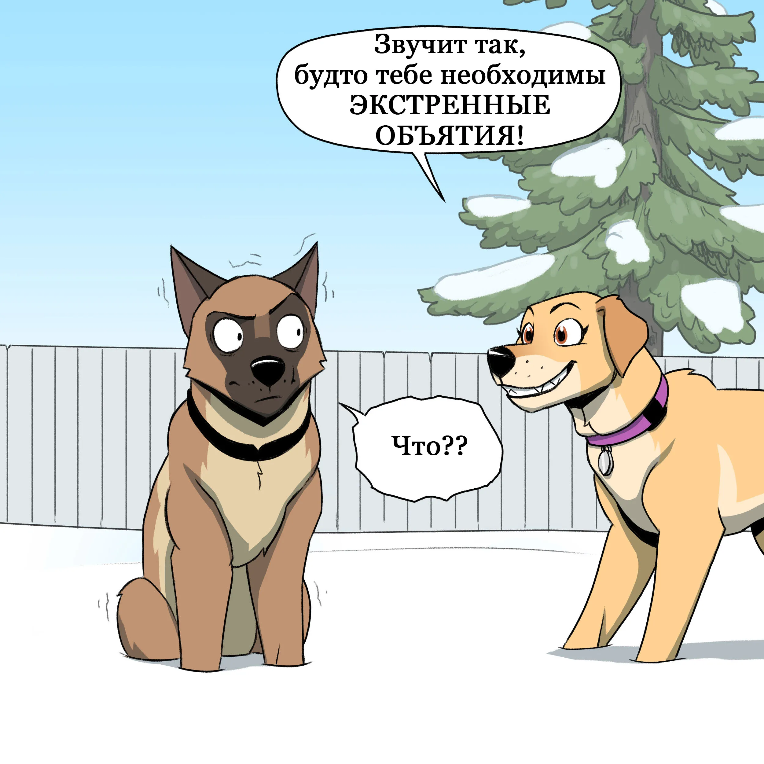 Pixie & Brutus - Emergency (2022.12.07) #4
