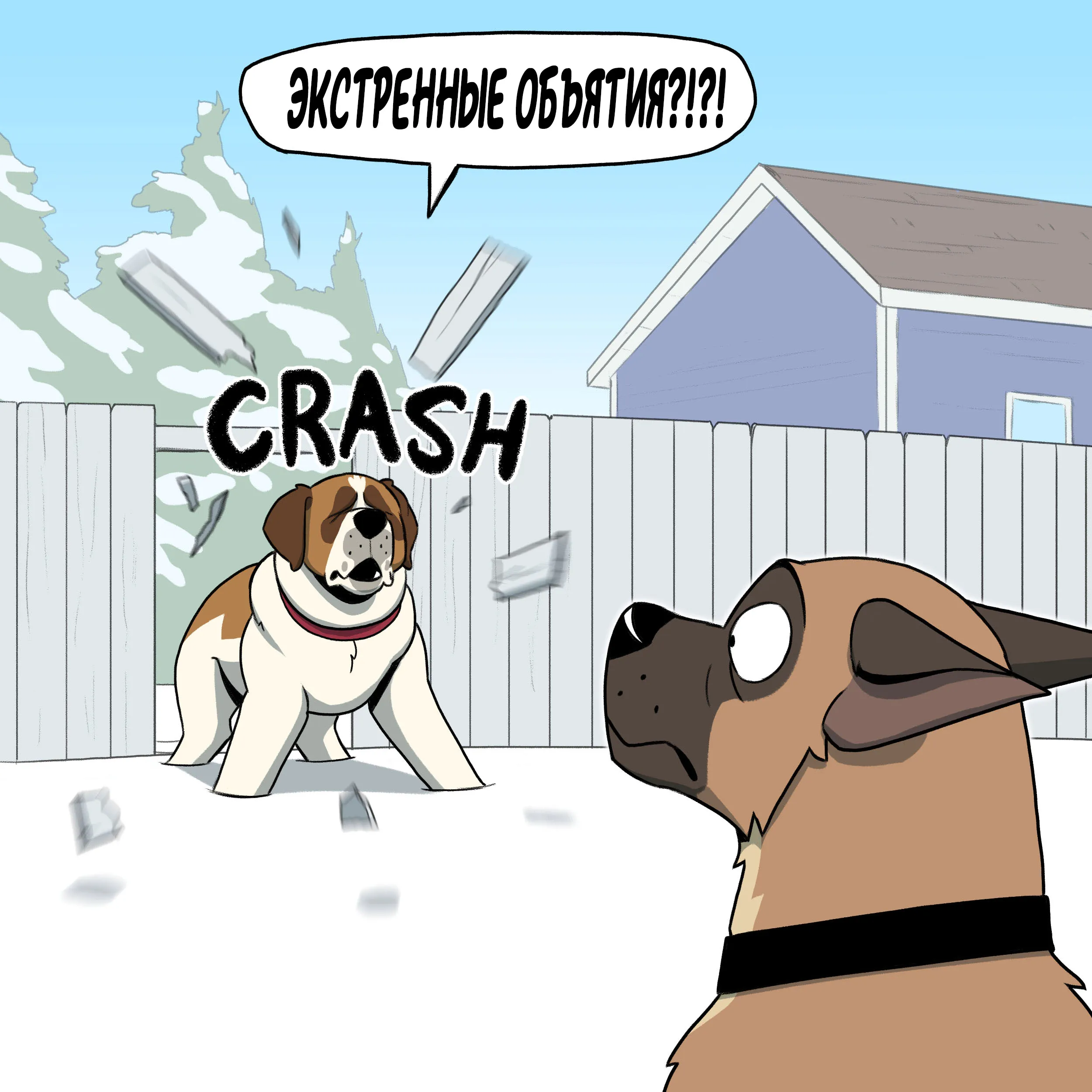 Pixie & Brutus - Emergency (2022.12.07) #5