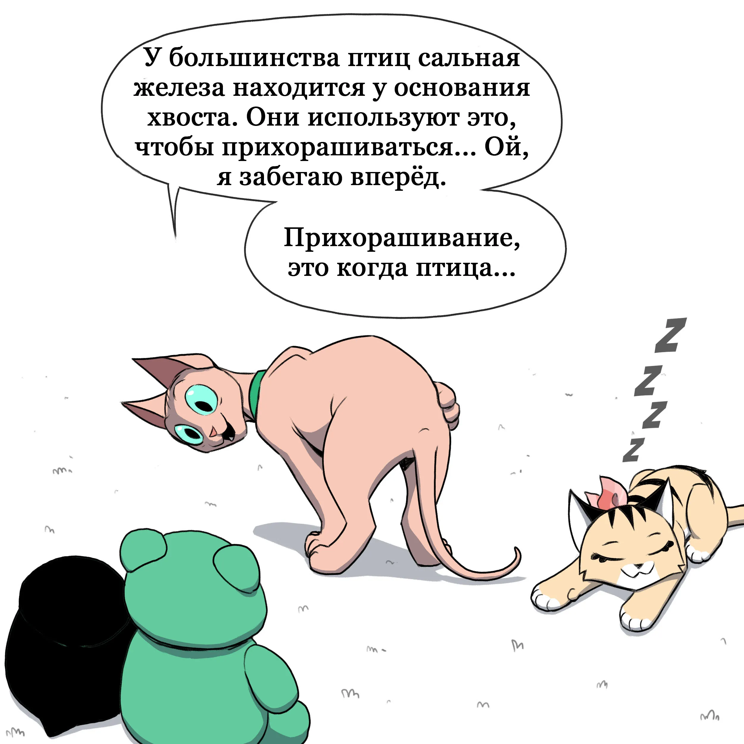 Pixie & Brutus - Pixie Show (2022.12.29) #6