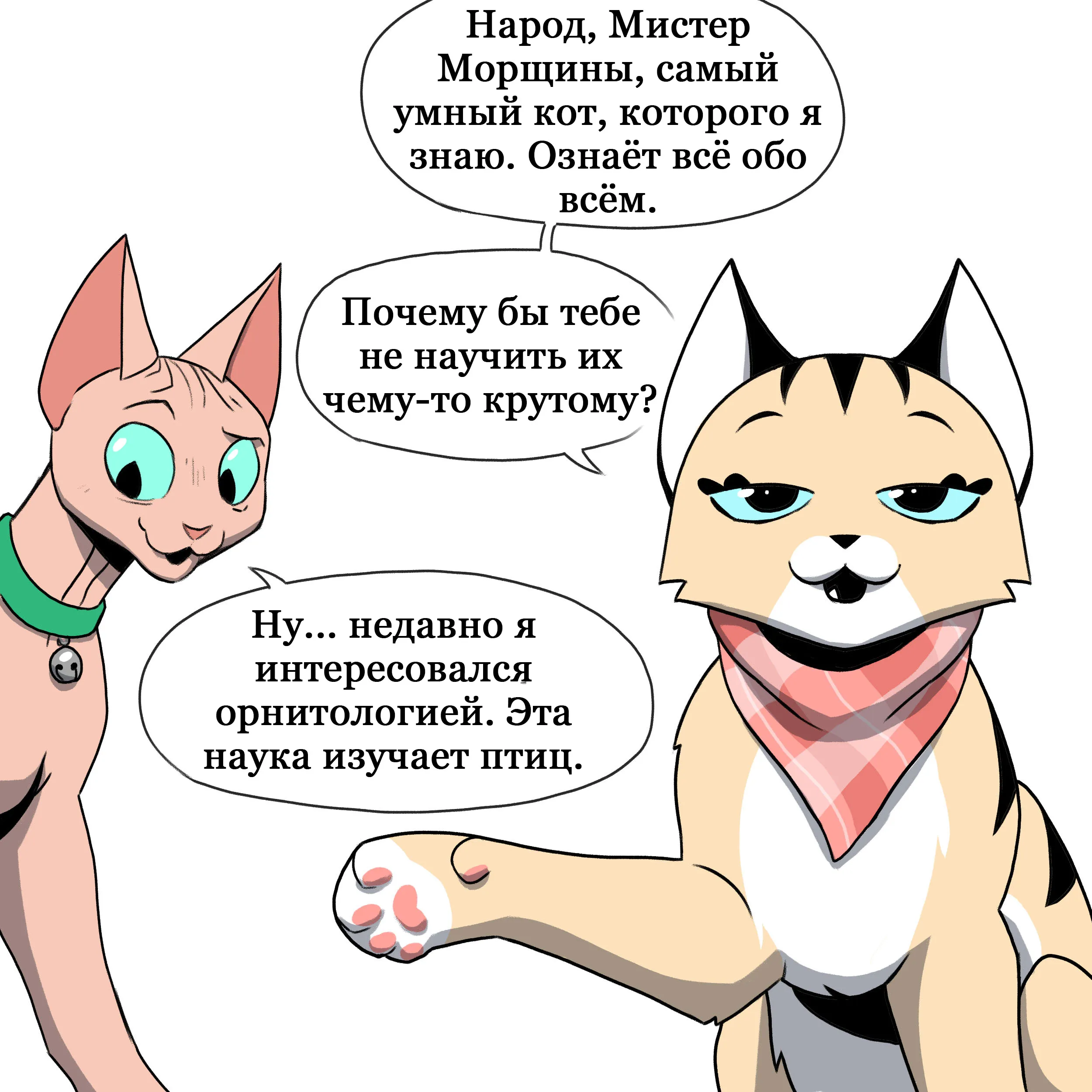 Pixie & Brutus - Pixie Show (2022.12.29) #4