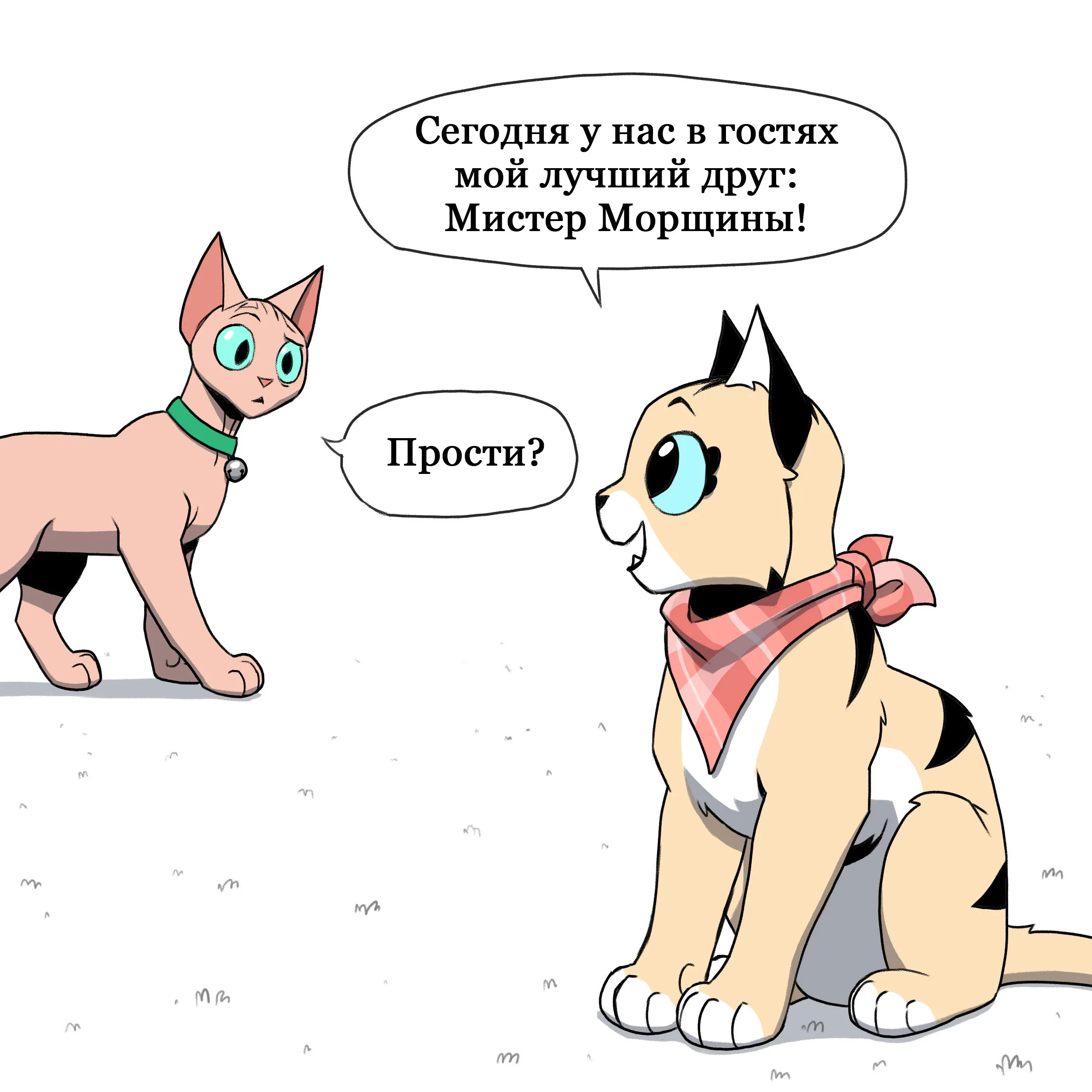 Pixie & Brutus - Pixie Show (2022.12.29) #2