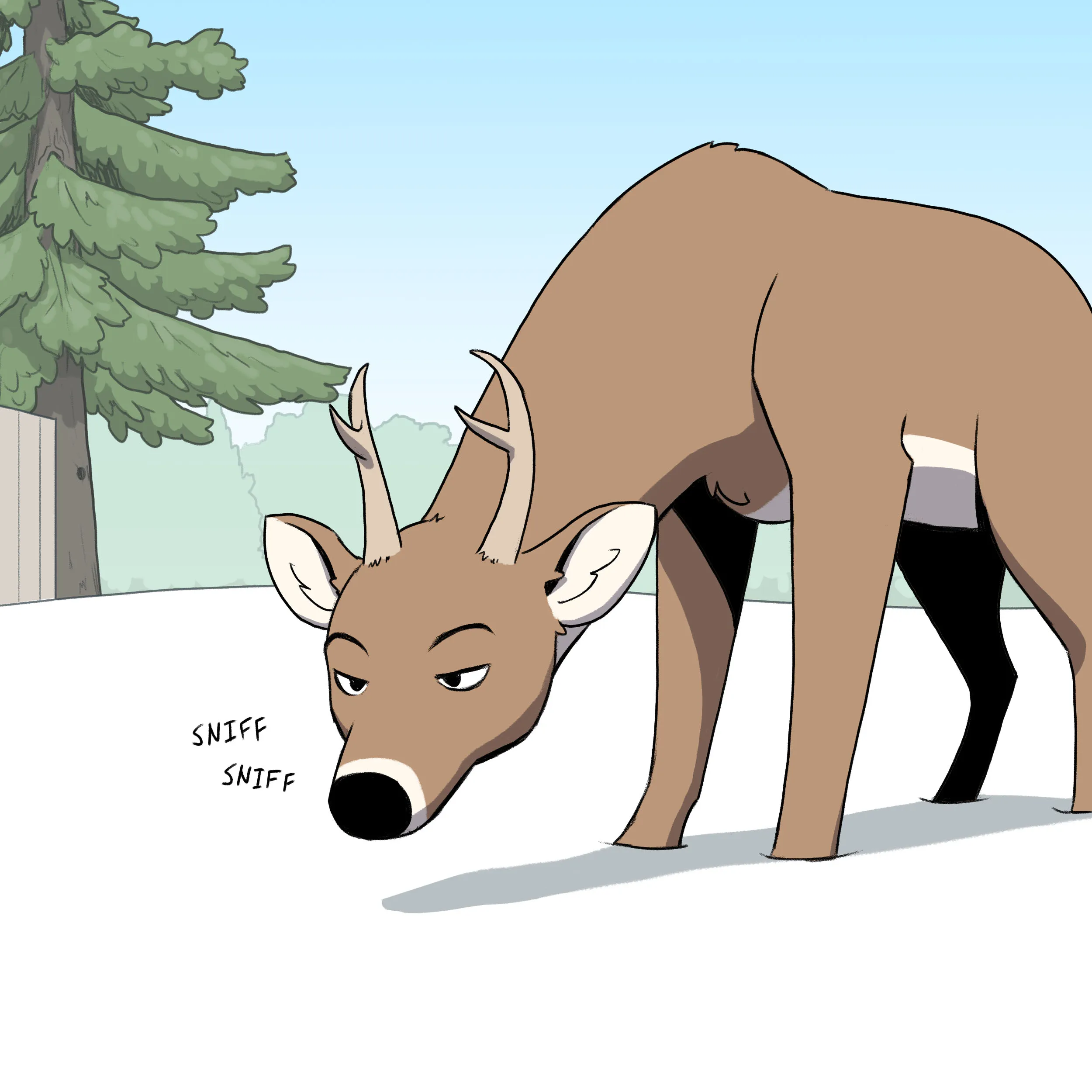 Pixie & Brutus - Buck (2023.01.02) #1