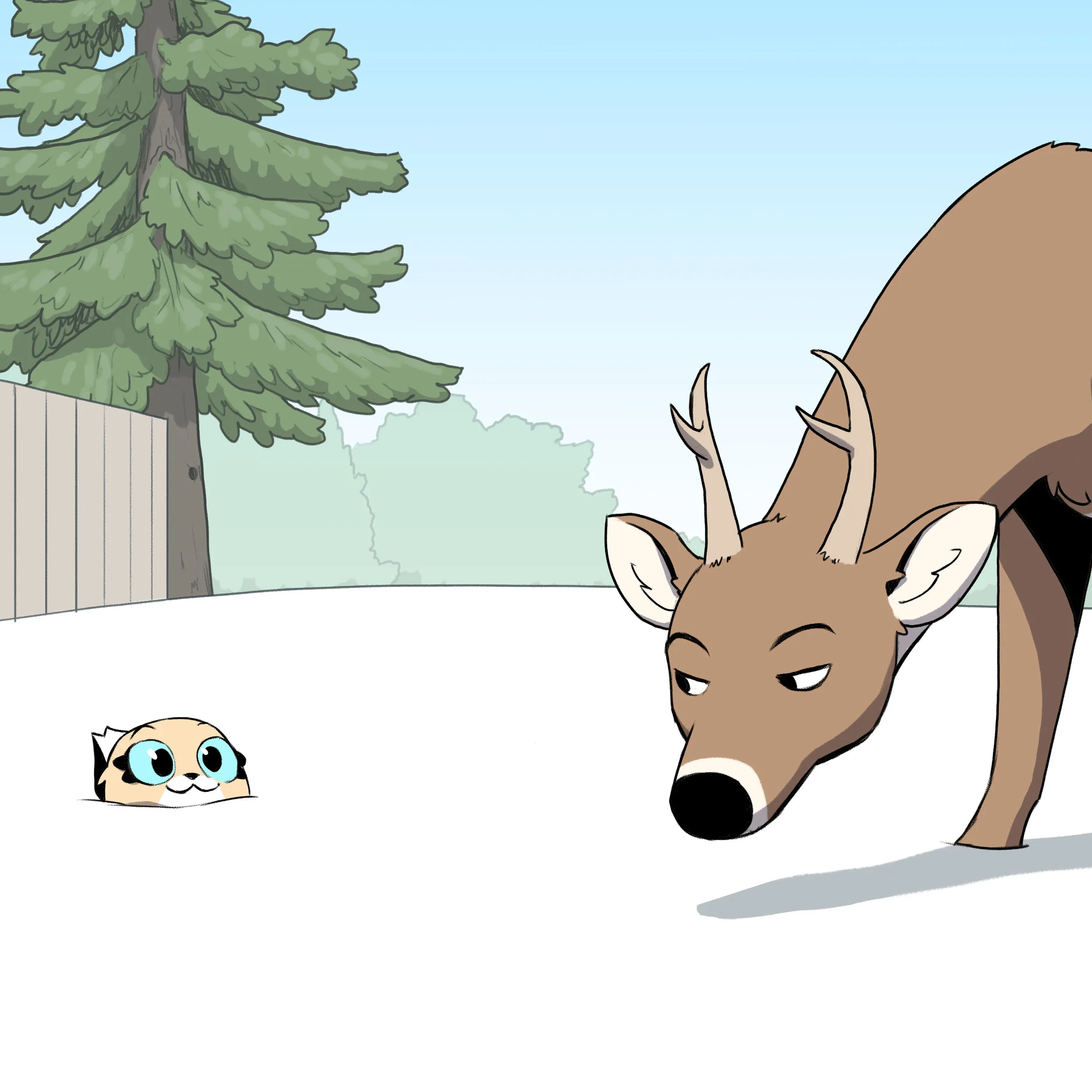Pixie & Brutus - Buck (2023.01.02) #2