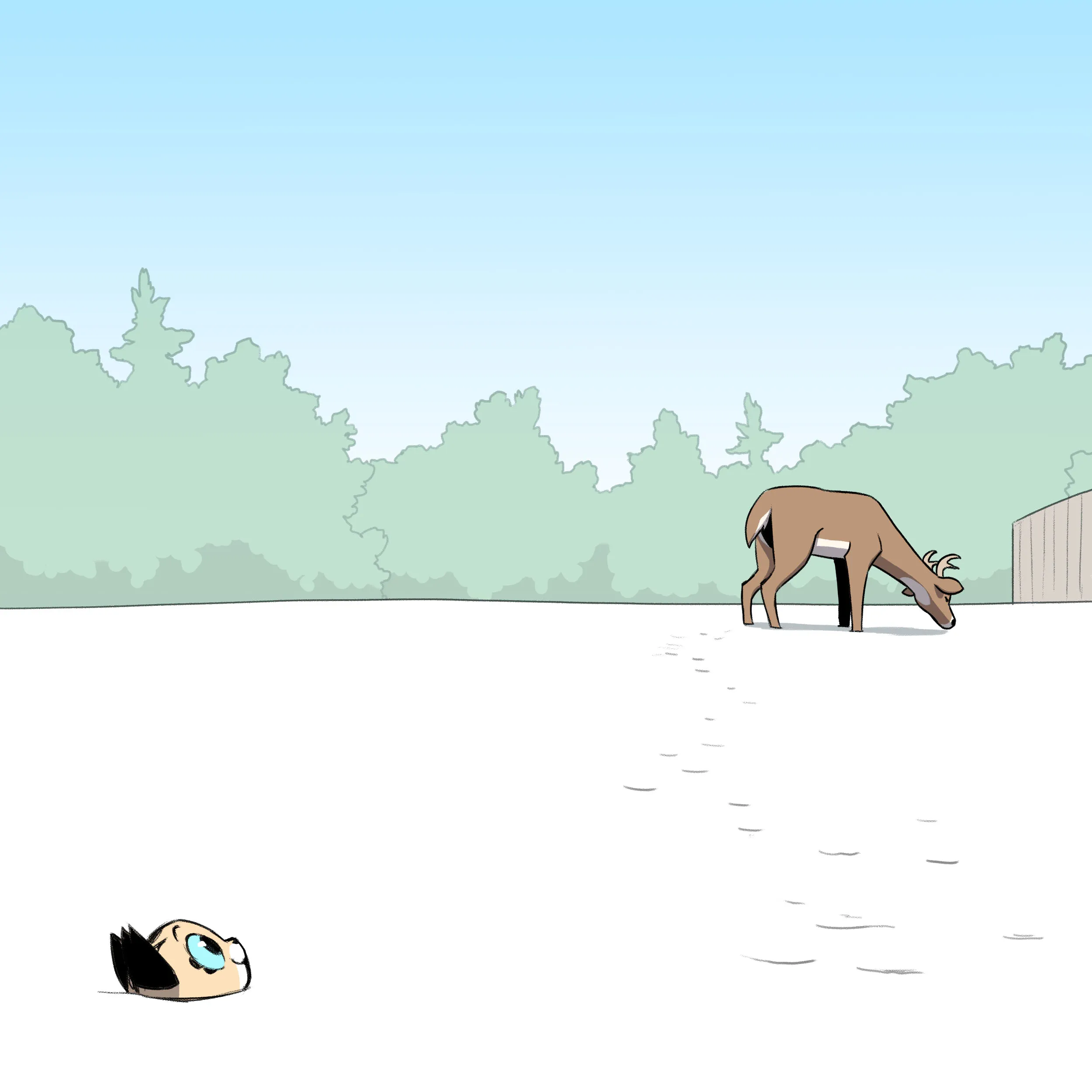 Pixie & Brutus - Buck (2023.01.02) #6