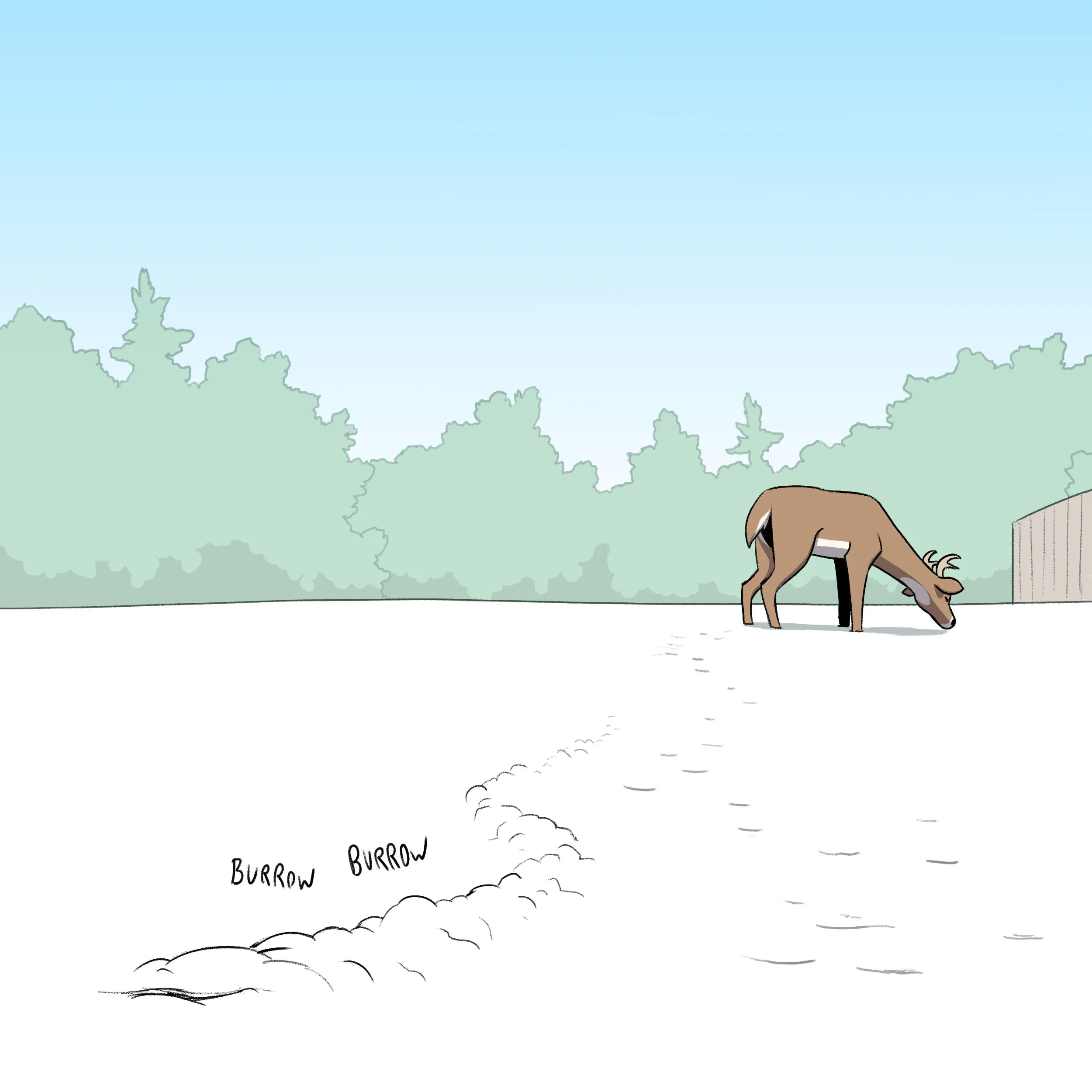 Pixie & Brutus - Buck (2023.01.02) #7