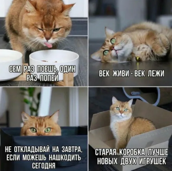 Пословицы и поговорки #1