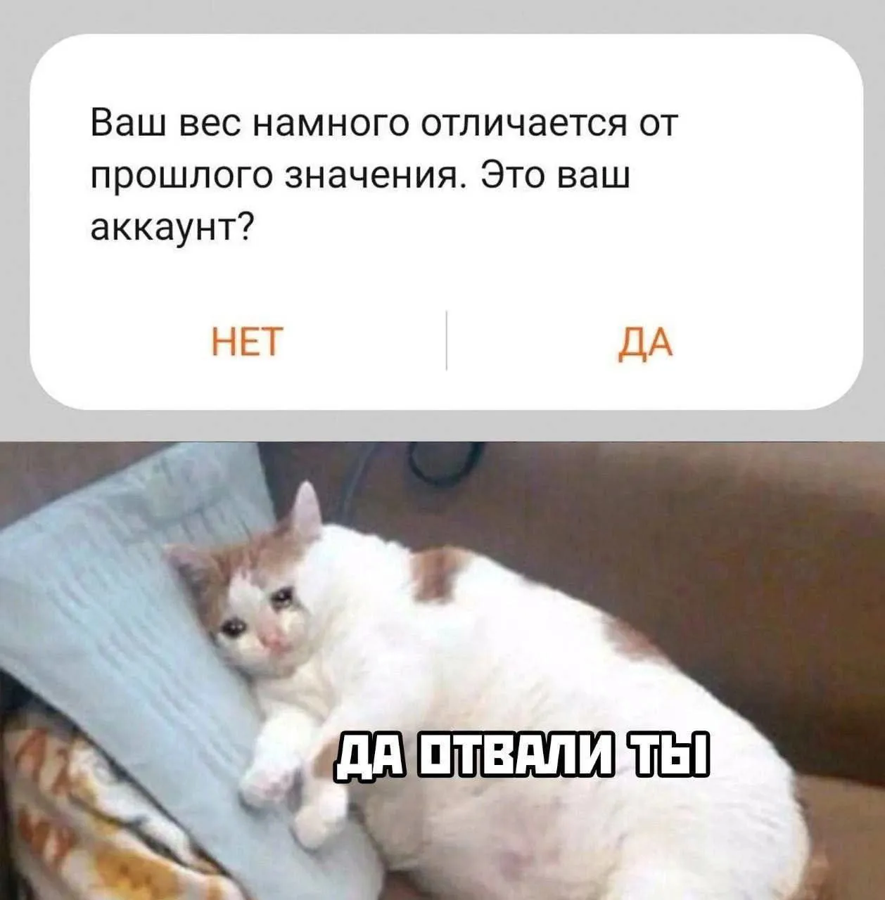 Новый вид captcha #1