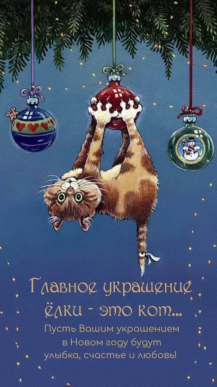 Что дарит вам радость? #2
