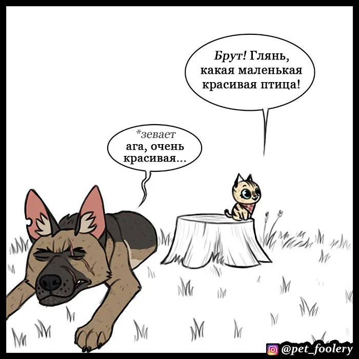 Pixie & Brutus - Eagle part 1 #2