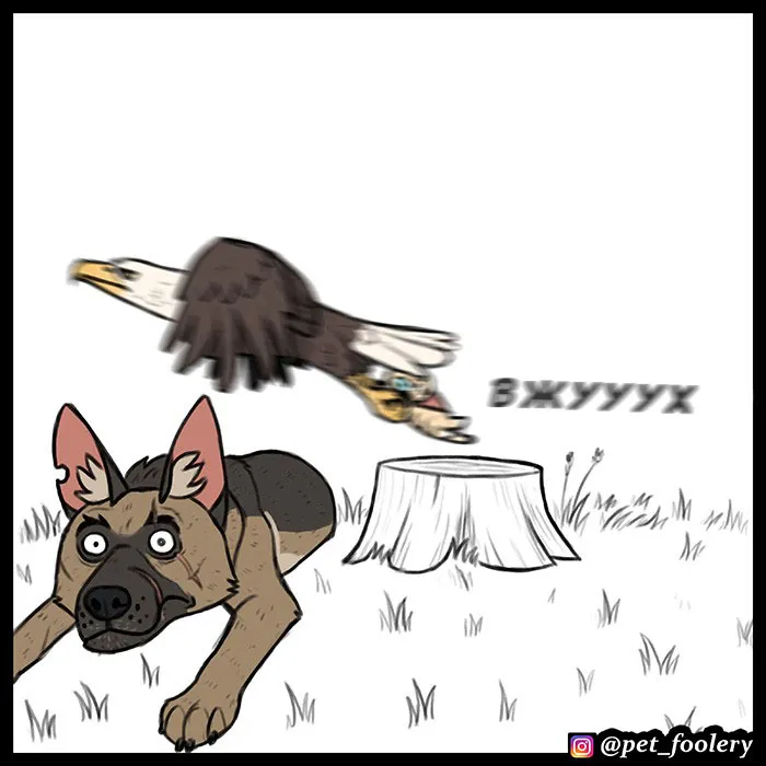 Pixie & Brutus - Eagle part 1 #5