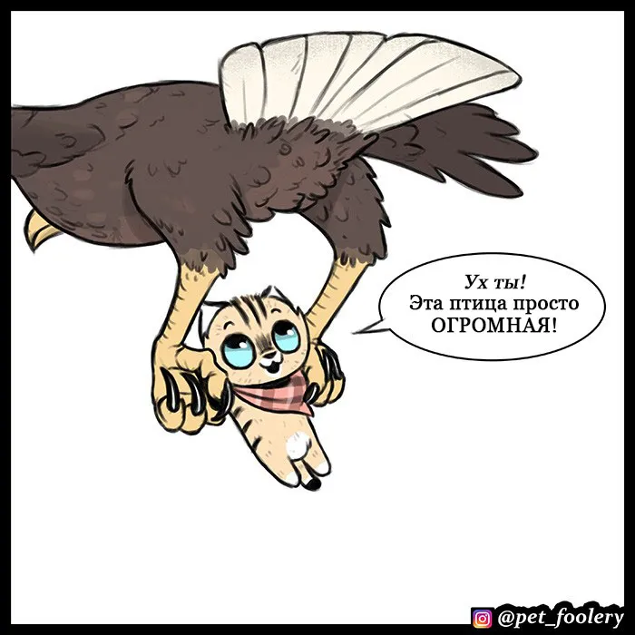 Pixie & Brutus - Eagle part 1 #6